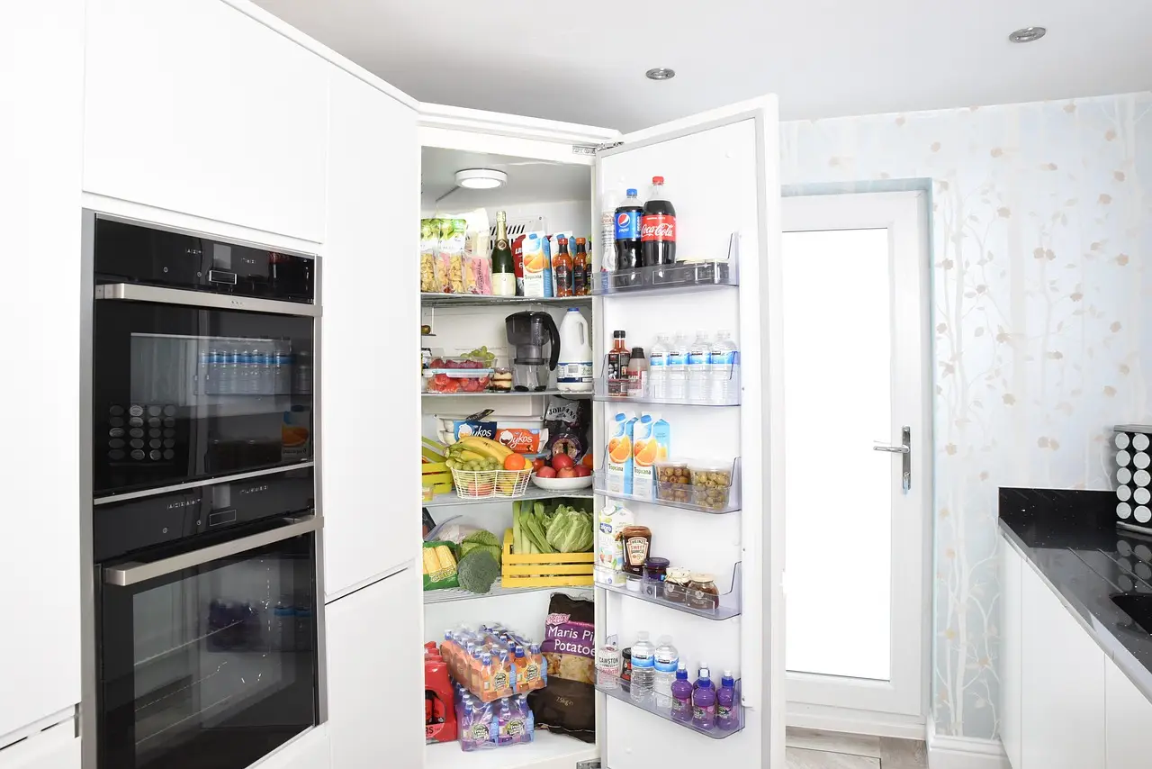 Organizza il frigorifero per ridurre i consumi: la guida dell’elettricista valida per giugno Organizza il frigorifero per ridurre i consumi: la guida dell’elettricista valida per giugno