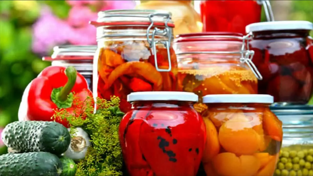 Organizza la dispensa contro gli insetti a giugno: le strategie dell’igienista alimentare Organizza la dispensa contro gli insetti a giugno: le strategie dell’igienista alimentare