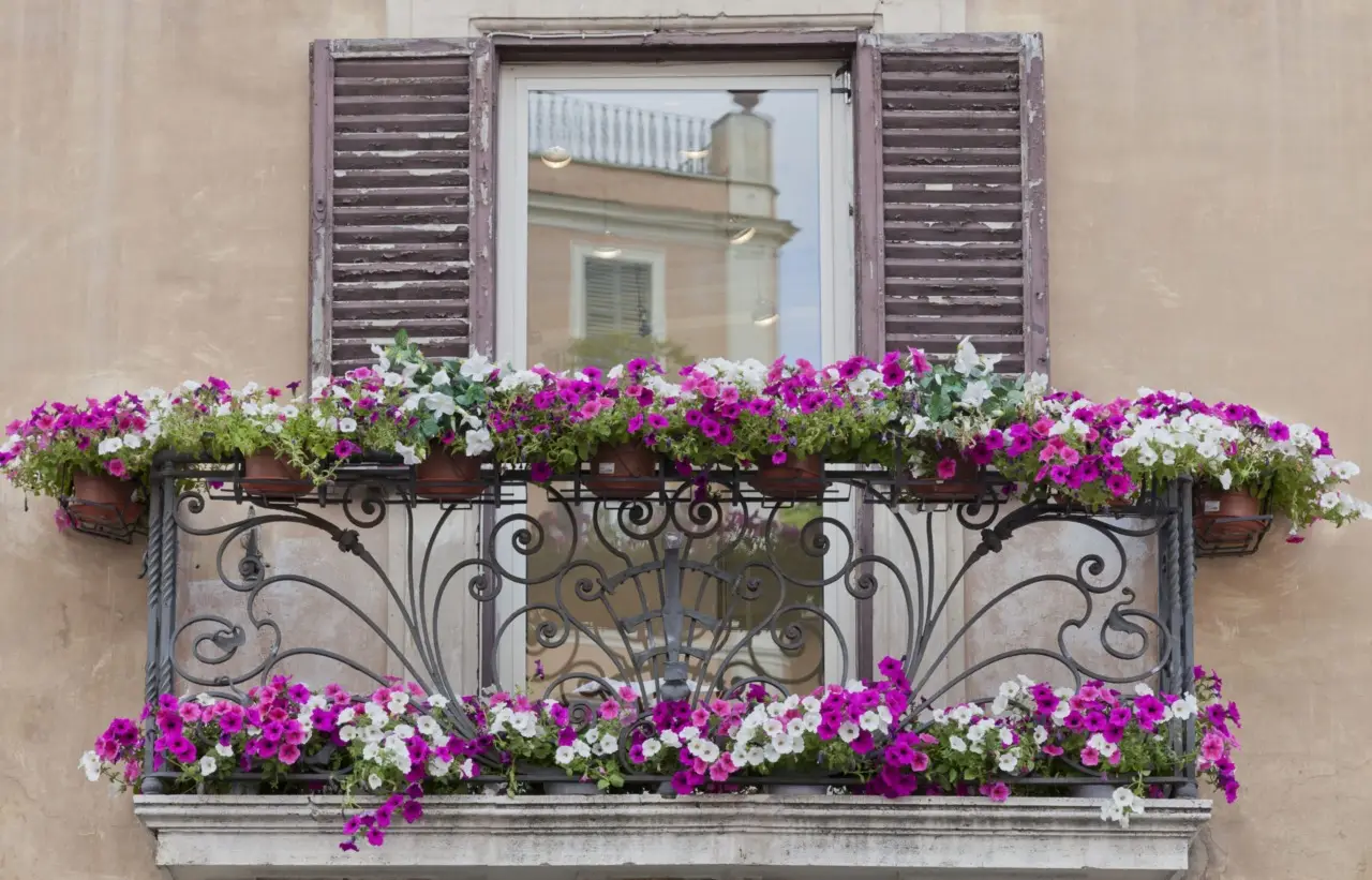 Il nuovo trucco del vivaista per scegliere piante da terrazzo resistenti al caldo estivo Il nuovo trucco del vivaista per scegliere piante da terrazzo resistenti al caldo estivo