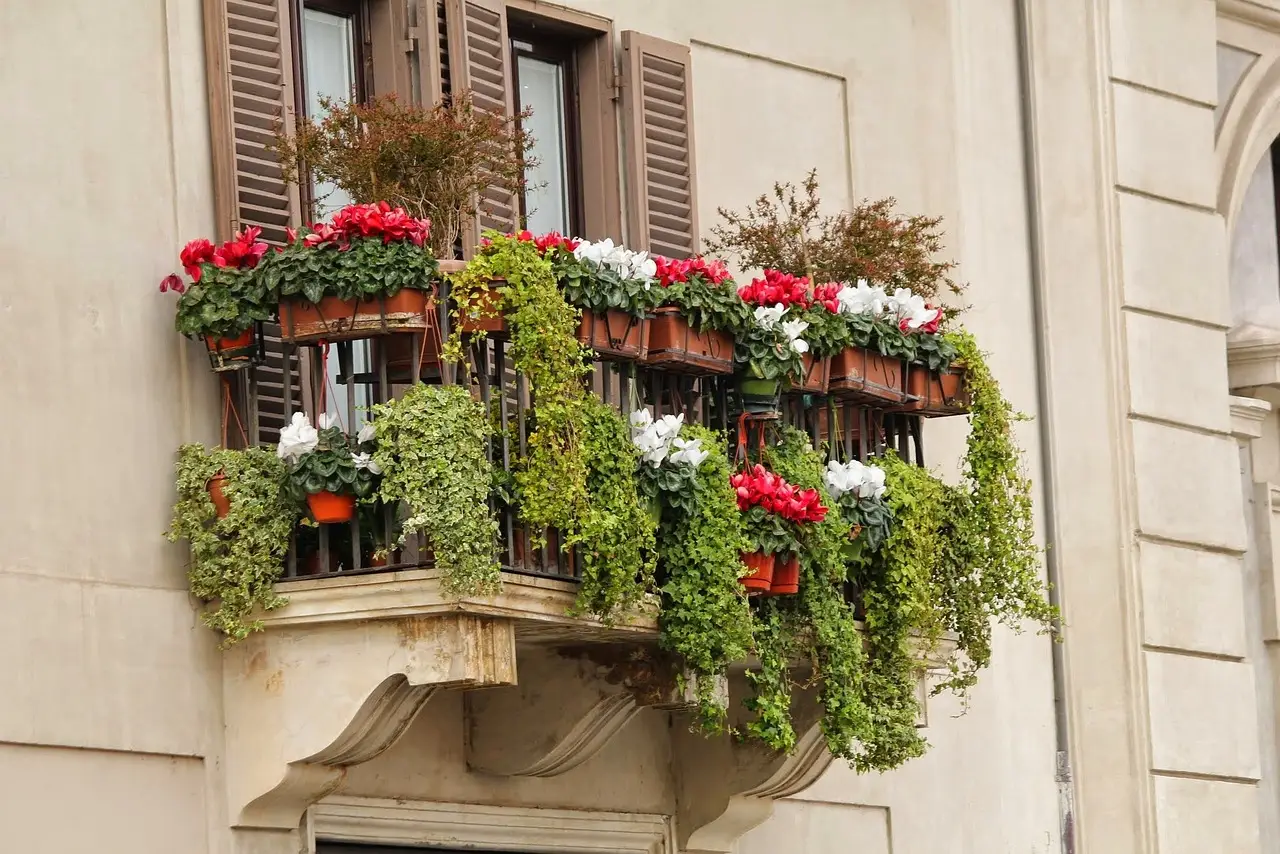 Il nuovo trucco del vivaista per scegliere piante da terrazzo resistenti al caldo estivo Il nuovo trucco del vivaista per scegliere piante da terrazzo resistenti al caldo estivo
