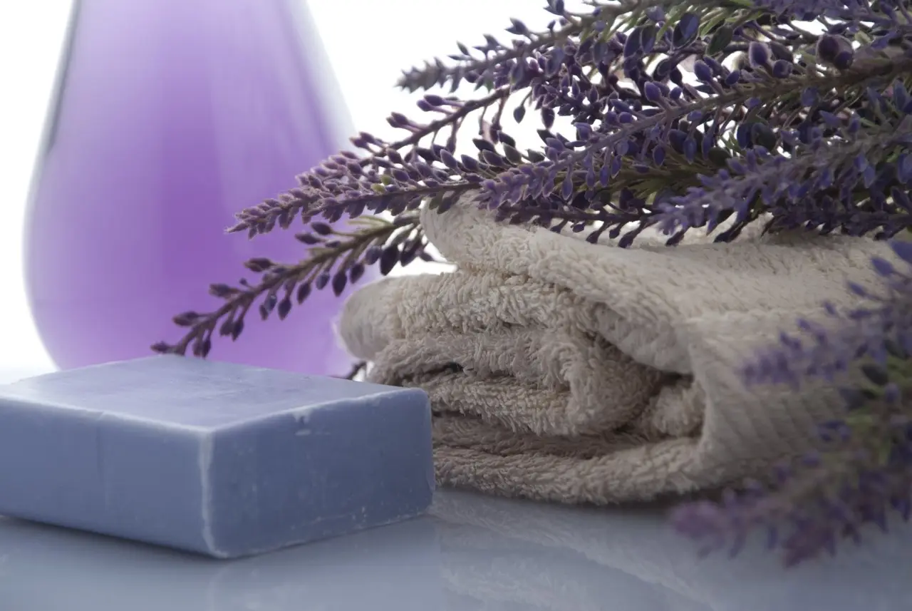 Bagno sempre profumato anche senza diffusori: il metodo naturale suggerito dagli hotel di lusso Bagno sempre profumato anche senza diffusori: il metodo naturale suggerito dagli hotel di lusso