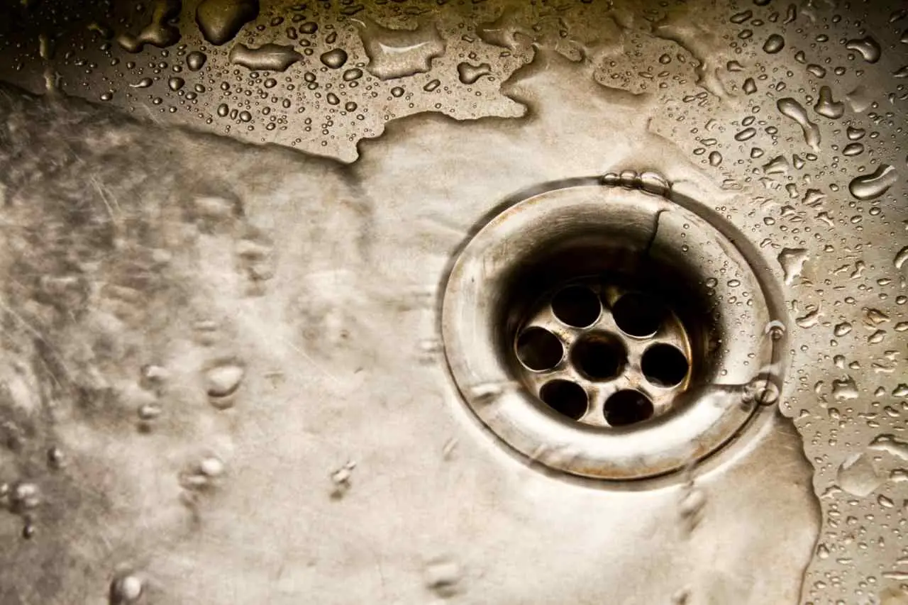 Come eliminare l’odore di scarico dal bagno in modo definitivo: il metodo raccomandato dagli idraulici per giugno Come eliminare l’odore di scarico dal bagno in modo definitivo: il metodo raccomandato dagli idraulici per giugno