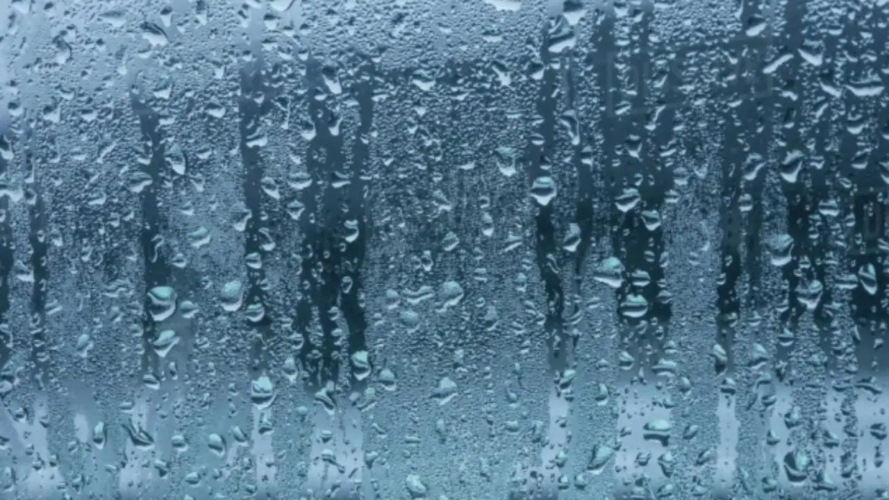Come evitare la formazione di condensa sulle finestre: il metodo raccomandato dagli esperti ambientali per giugno Come evitare la formazione di condensa sulle finestre: il metodo raccomandato dagli esperti ambientali per giugno