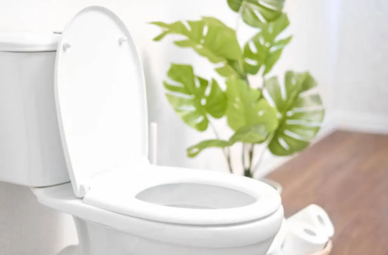 Come pulire il WC in modo naturale e lasciare un profumo duraturo Come pulire il WC in modo naturale e lasciare un profumo duraturo
