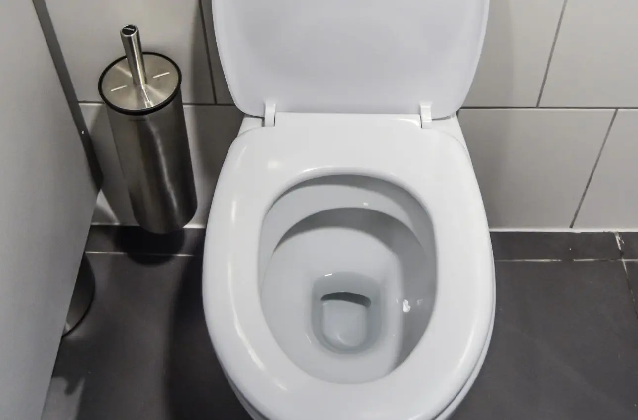 Come pulire il WC in modo naturale e lasciare un profumo duraturo Come pulire il WC in modo naturale e lasciare un profumo duraturo