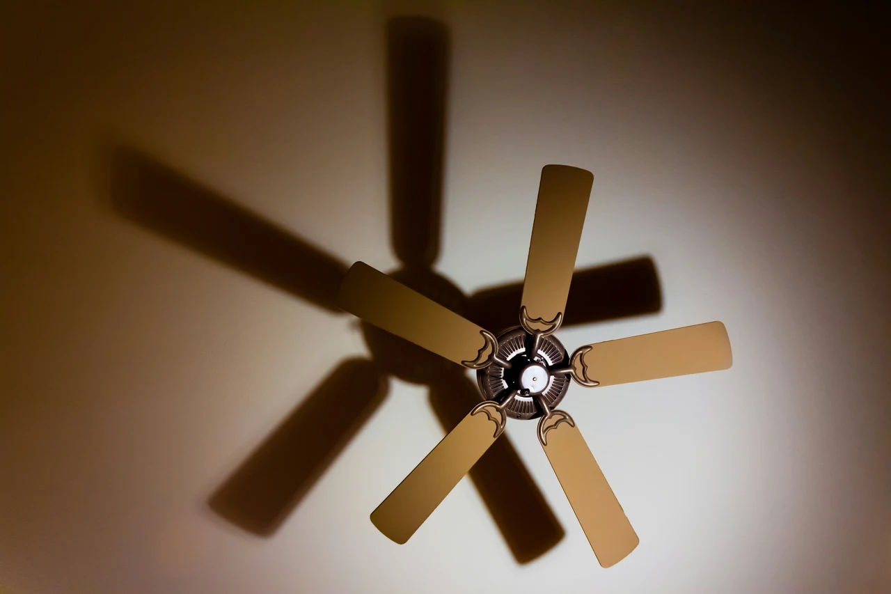 Come abbassare la temperatura della casa durante il giorno senza spendere nulla Come abbassare la temperatura della casa durante il giorno senza spendere nulla