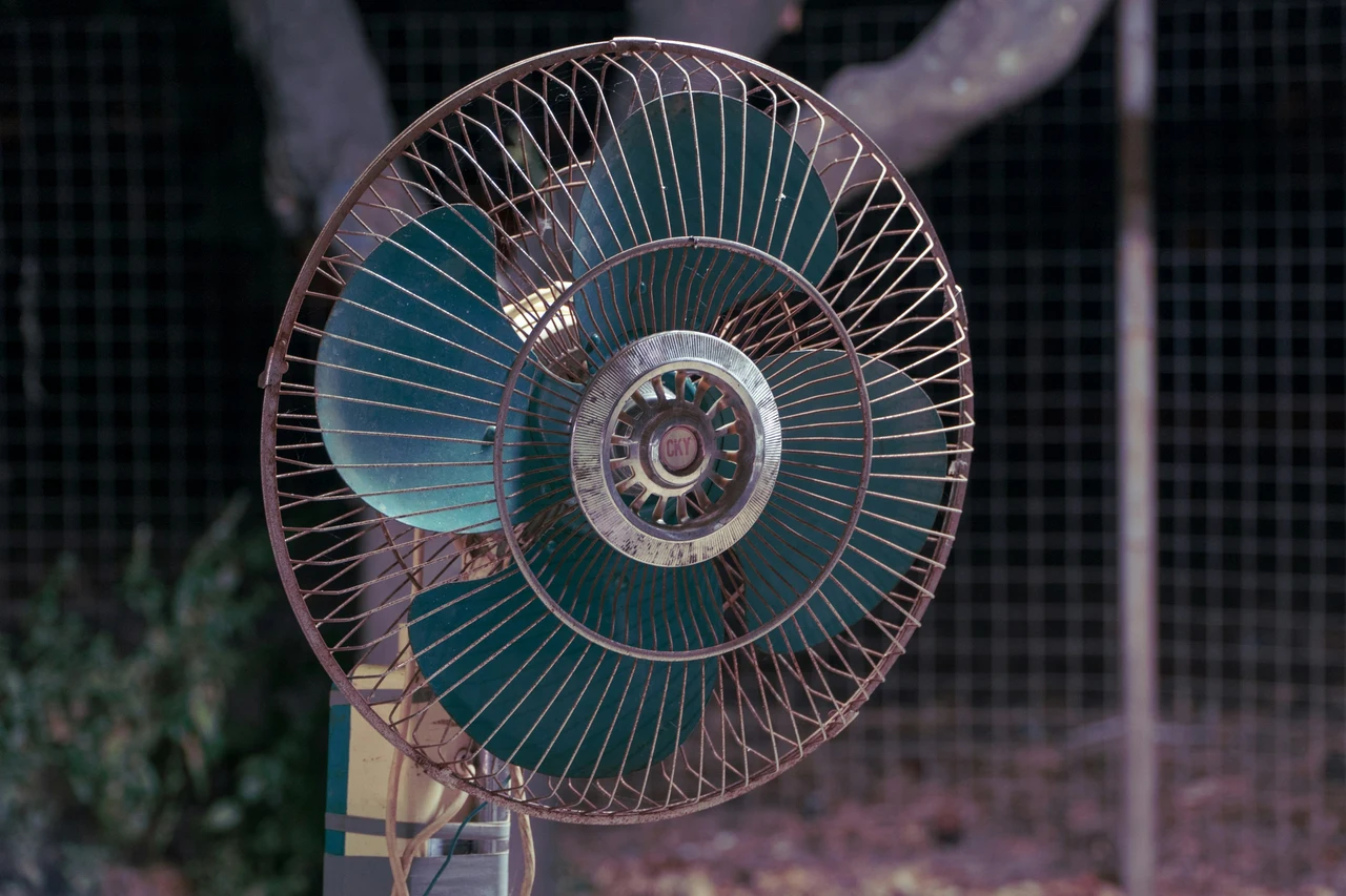 Come abbassare la temperatura della casa durante il giorno senza spendere nulla Come abbassare la temperatura della casa durante il giorno senza spendere nulla