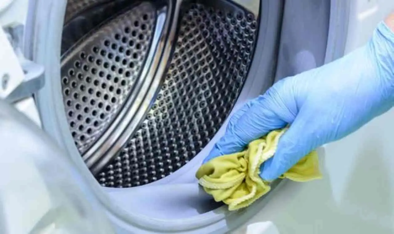 Come profumare la lavatrice ed eliminare l’odore di muffa dal cestello Come profumare la lavatrice ed eliminare l’odore di muffa dal cestello