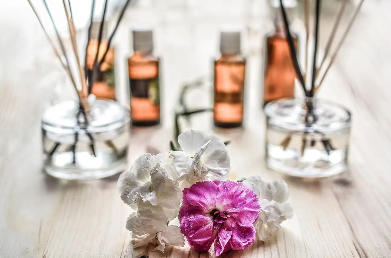 Il segreto per una casa profumata tutto il giorno senza spray chimici Il segreto per una casa profumata tutto il giorno senza spray chimici