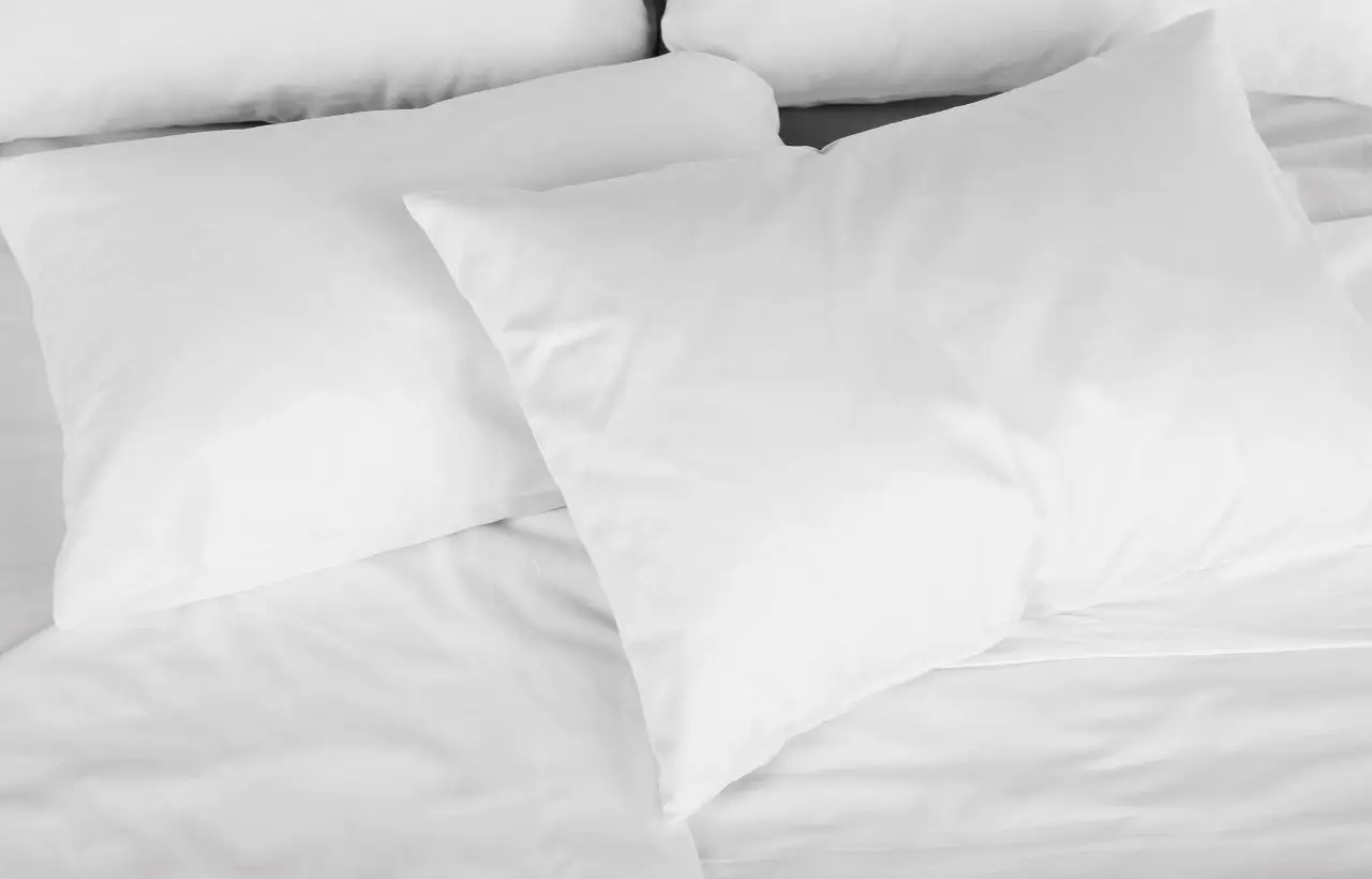 Come mantenere freschi i cuscini durante le notti calde: il metodo naturale suggerito dagli allergologi Come mantenere freschi i cuscini durante le notti calde: il metodo naturale suggerito dagli allergologi