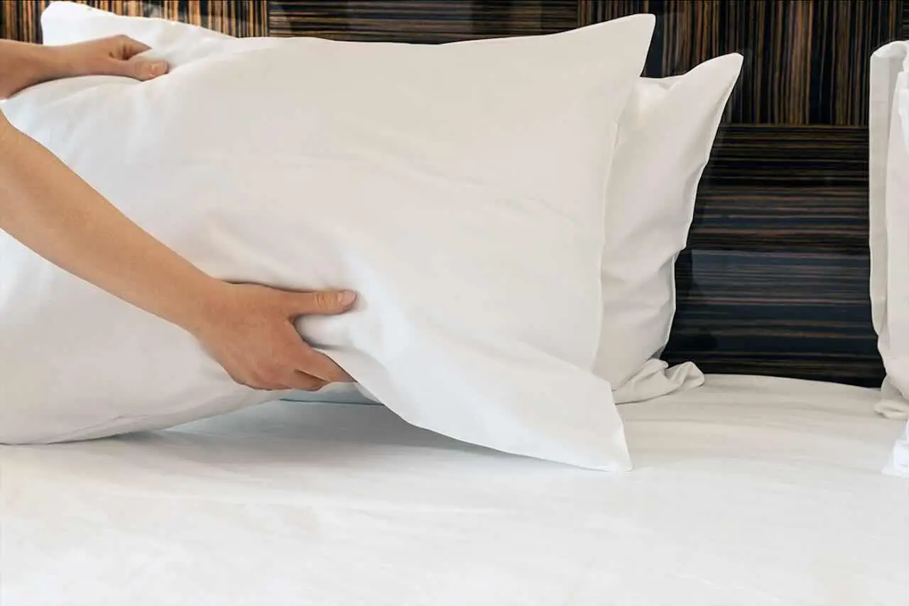 Come mantenere freschi i cuscini durante le notti calde: il metodo naturale suggerito dagli allergologi Come mantenere freschi i cuscini durante le notti calde: il metodo naturale suggerito dagli allergologi