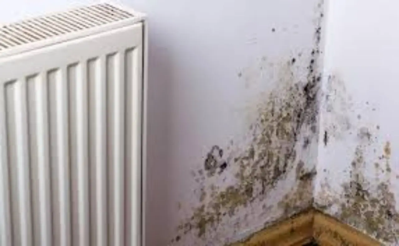 Come ottenere finestre senza condensa nelle notti calde: il suggerimento dell’ingegnere ambientale per giugno Come ottenere finestre senza condensa nelle notti calde: il suggerimento dell’ingegnere ambientale per giugno