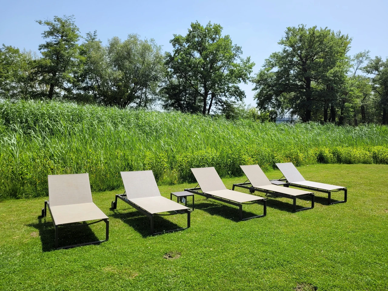Come proteggere i mobili da giardino dal sole estivo: i suggerimenti dei vivaisti per giugno Come proteggere i mobili da giardino dal sole estivo: i suggerimenti dei vivaisti per giugno