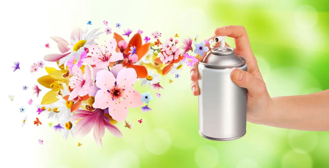 Camera profumata senza spray: il metodo dei giapponesi Camera profumata senza spray: il metodo dei giapponesi