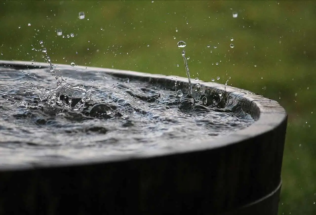 A cosa serve mettere una ciotola d’acqua sotto il letto: il motivo sorprendente A cosa serve mettere una ciotola d’acqua sotto il letto: il motivo sorprendente