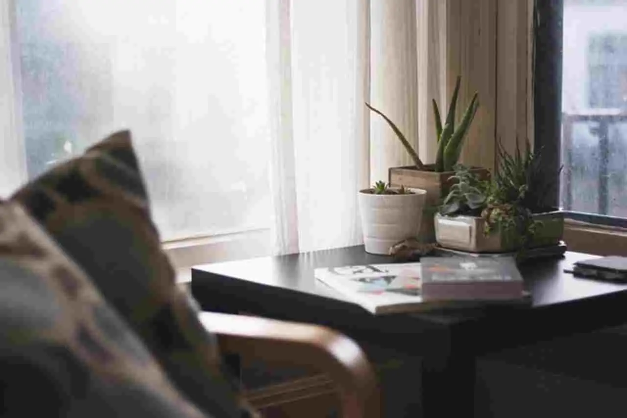 Attenzione a dove metti il ventilatore: l’errore che fa aumentare il caldo in casa Attenzione a dove metti il ventilatore: l’errore che fa aumentare il caldo in casa