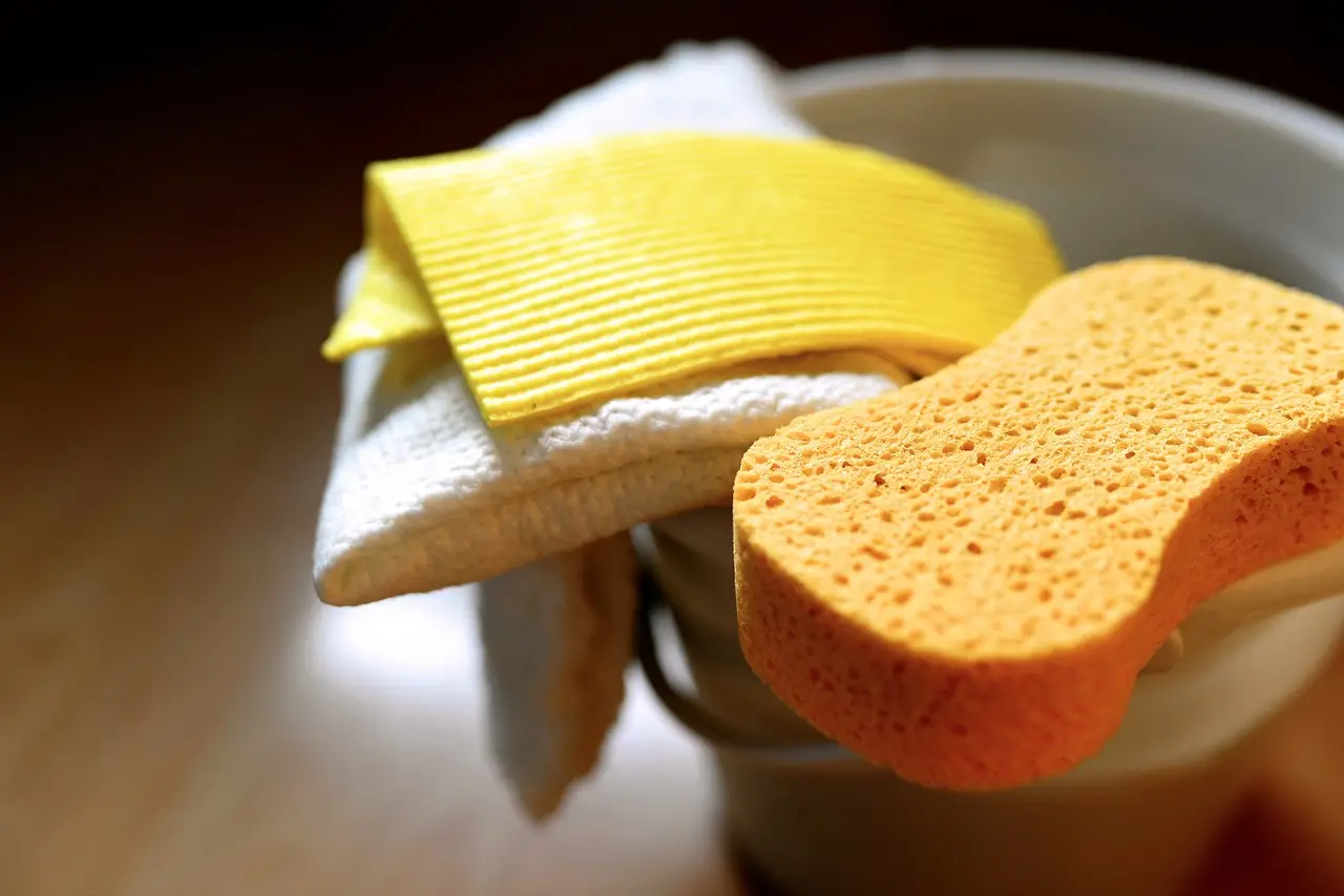 Spugna in cucina sulla mensola d’ingresso: nuove prospettive per profumare subito l’ambiente Spugna in cucina sulla mensola d’ingresso: nuove prospettive per profumare subito l’ambiente