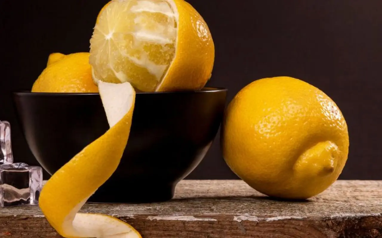 Bucce di limone sul termosifone: la svolta invernale per rendere unico il profumo di casa Bucce di limone sul termosifone: la svolta invernale per rendere unico il profumo di casa
