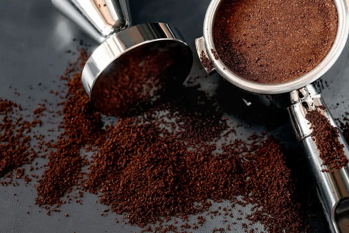 Il segreto del caffè in polvere contro gli odori in cucina: l’effetto che sorprende Il segreto del caffè in polvere contro gli odori in cucina: l’effetto che sorprende