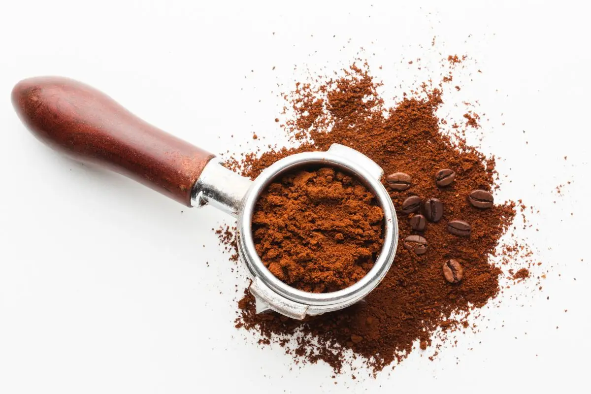 Il segreto del caffè in polvere contro gli odori in cucina: l’effetto che sorprende Il segreto del caffè in polvere contro gli odori in cucina: l’effetto che sorprende