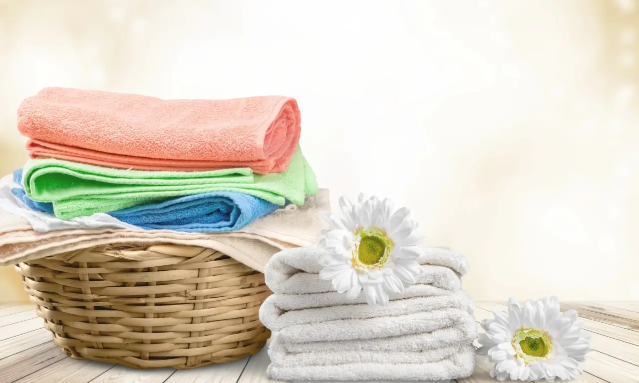Scegli questo rimedio eco-friendly per un bucato profumato senza spese inutili Scegli questo rimedio eco-friendly per un bucato profumato senza spese inutili