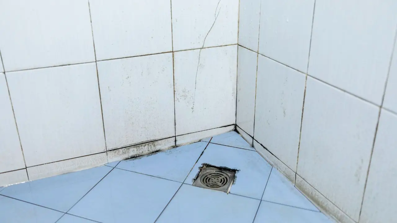 Scopri come eliminare l'odore di umido dal bagno usando solo aceto e bicarbonato Scopri come eliminare l'odore di umido dal bagno usando solo aceto e bicarbonato