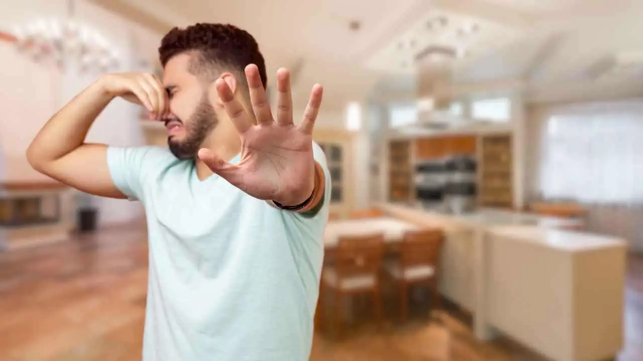 Scopri il trucco semplice che elimina velocemente gli odori di cucina più persistenti Scopri il trucco semplice che elimina velocemente gli odori di cucina più persistenti