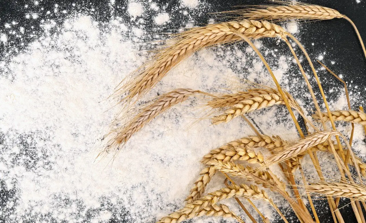 Sai quali farine aumentano il rischio di dolore articolare dopo i pasti? Scoprilo ora Sai quali farine aumentano il rischio di dolore articolare dopo i pasti? Scoprilo ora