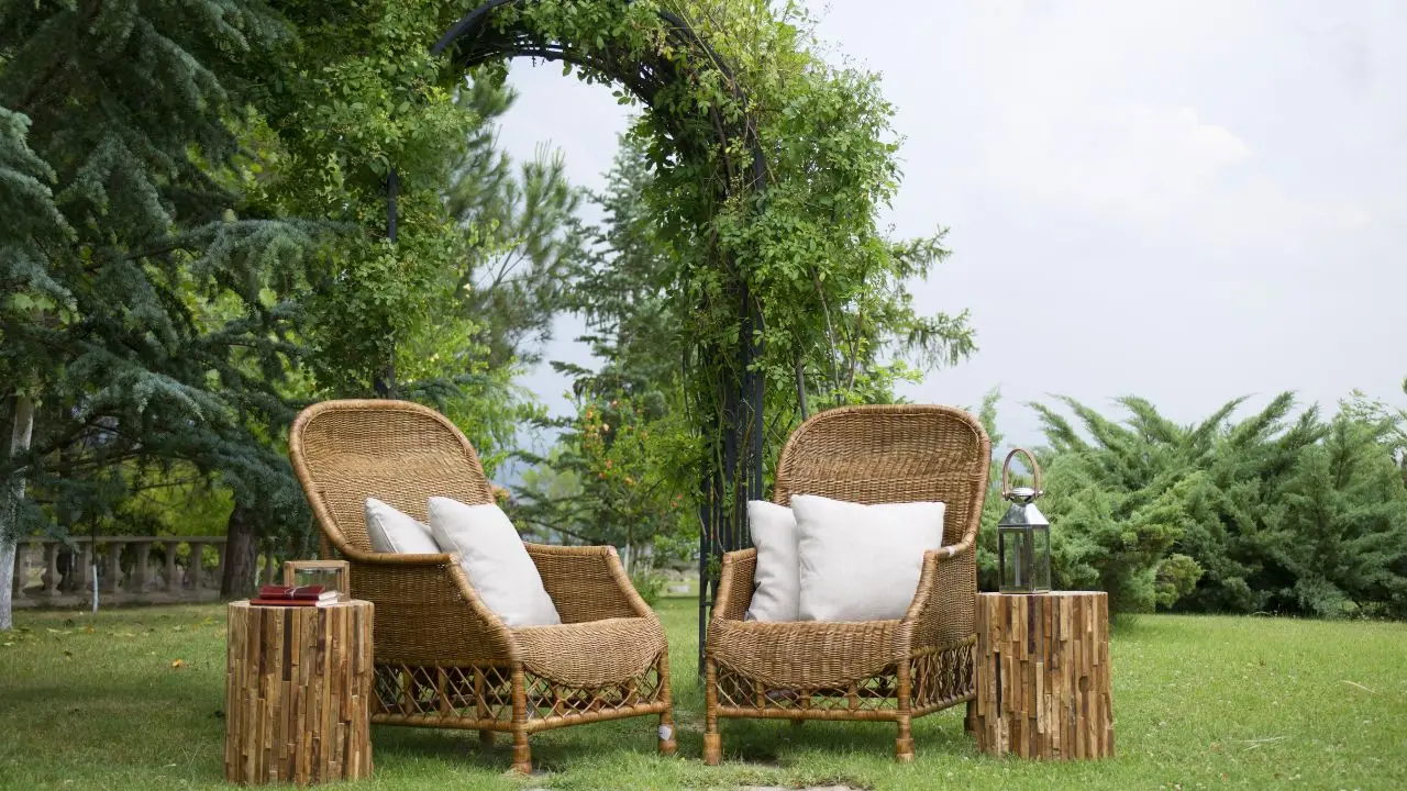 Gli alberi più diffusi che favoriscono la presenza di ospiti sgraditi in giardino Gli alberi più diffusi che favoriscono la presenza di ospiti sgraditi in giardino