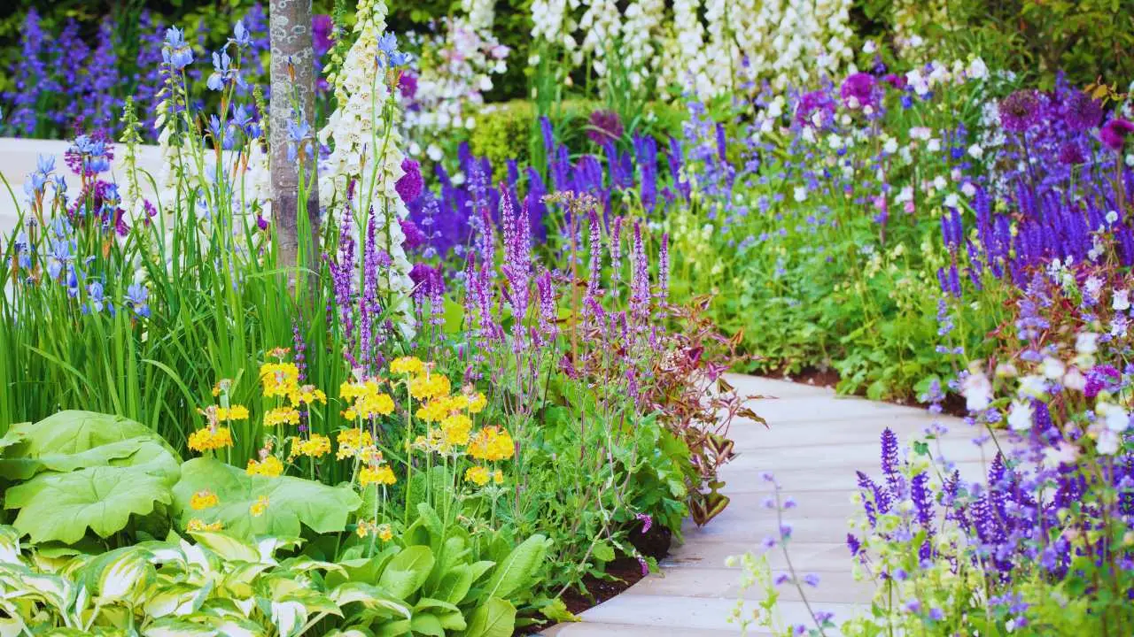 Erbe ornamentali da valutare: perché alcune possono attirare animali indesiderati