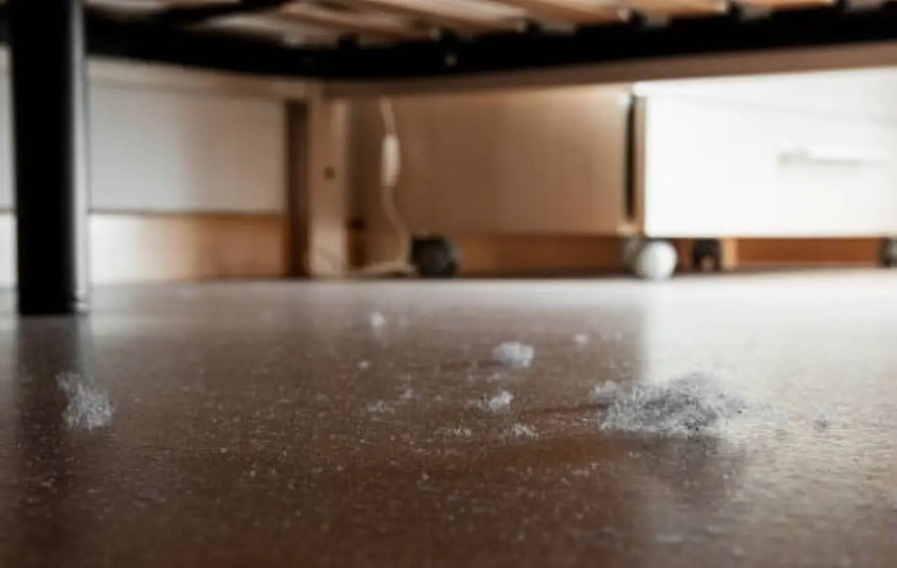 La regola esperta per evitare polvere sui mobili e liberarti da pulizie infinite