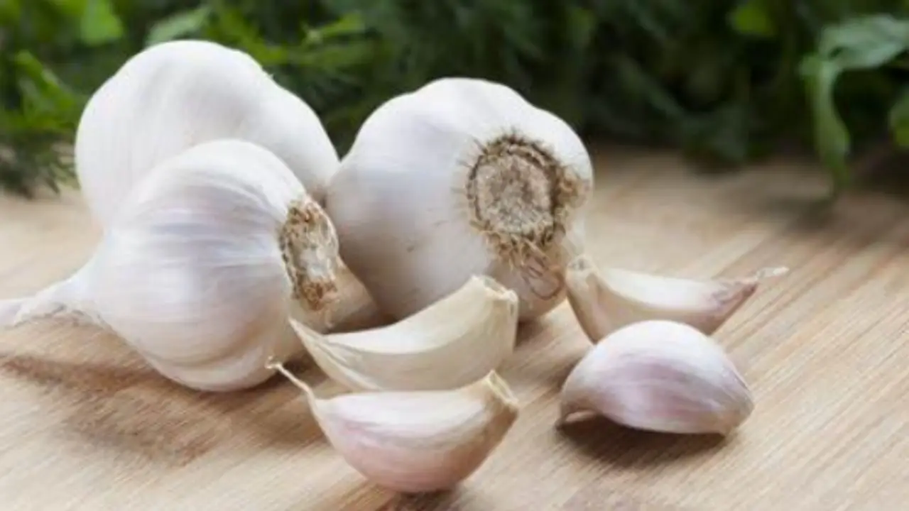 Aglio e salute: mito o realtà nella lotta contro i vermi intestinali? Scopri cosa dice la scienza