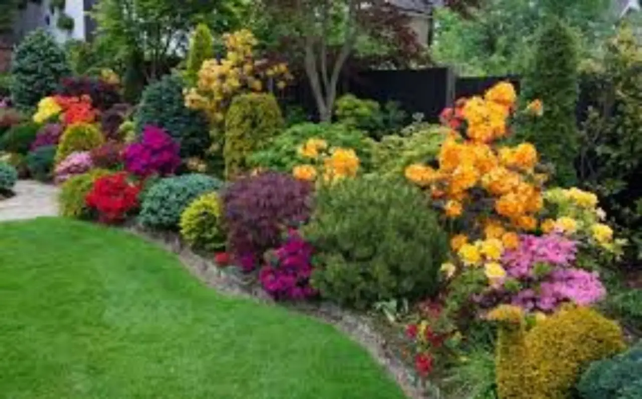 Le migliori piante per aiuole soleggiate: idee e consigli per un giardino fiorito tutto l’anno