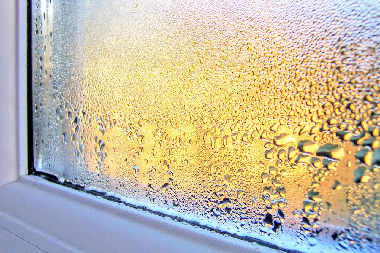 Come evitare la condensa sulle finestre in cucina: il trucco dell’esperto ambientale per giugno Come evitare la condensa sulle finestre in cucina: il trucco dell’esperto ambientale per giugno
