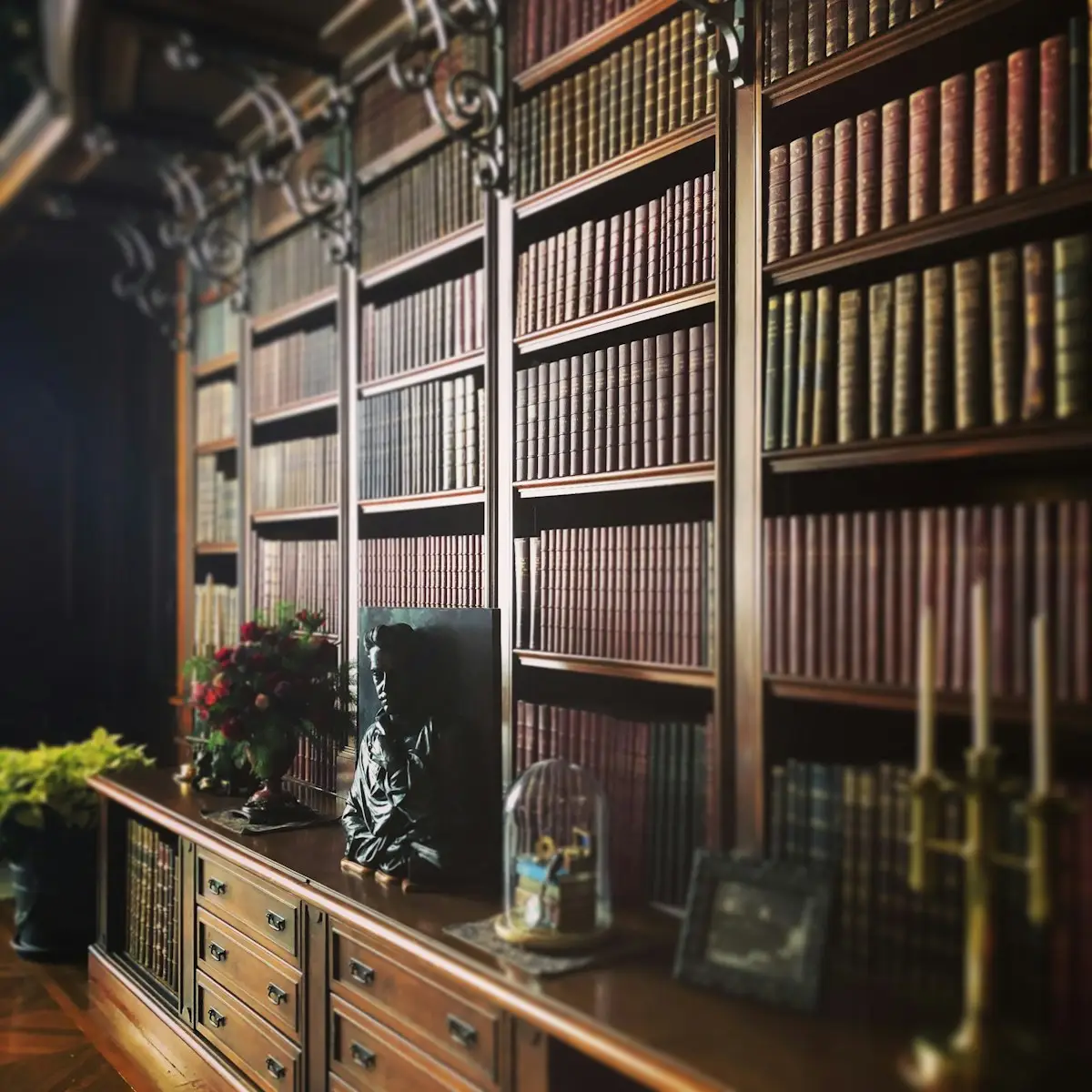 Come proteggere i libri dall’umidità nelle librerie di casa: il sistema dei restauratori per giugno Come proteggere i libri dall’umidità nelle librerie di casa: il sistema dei restauratori per giugno