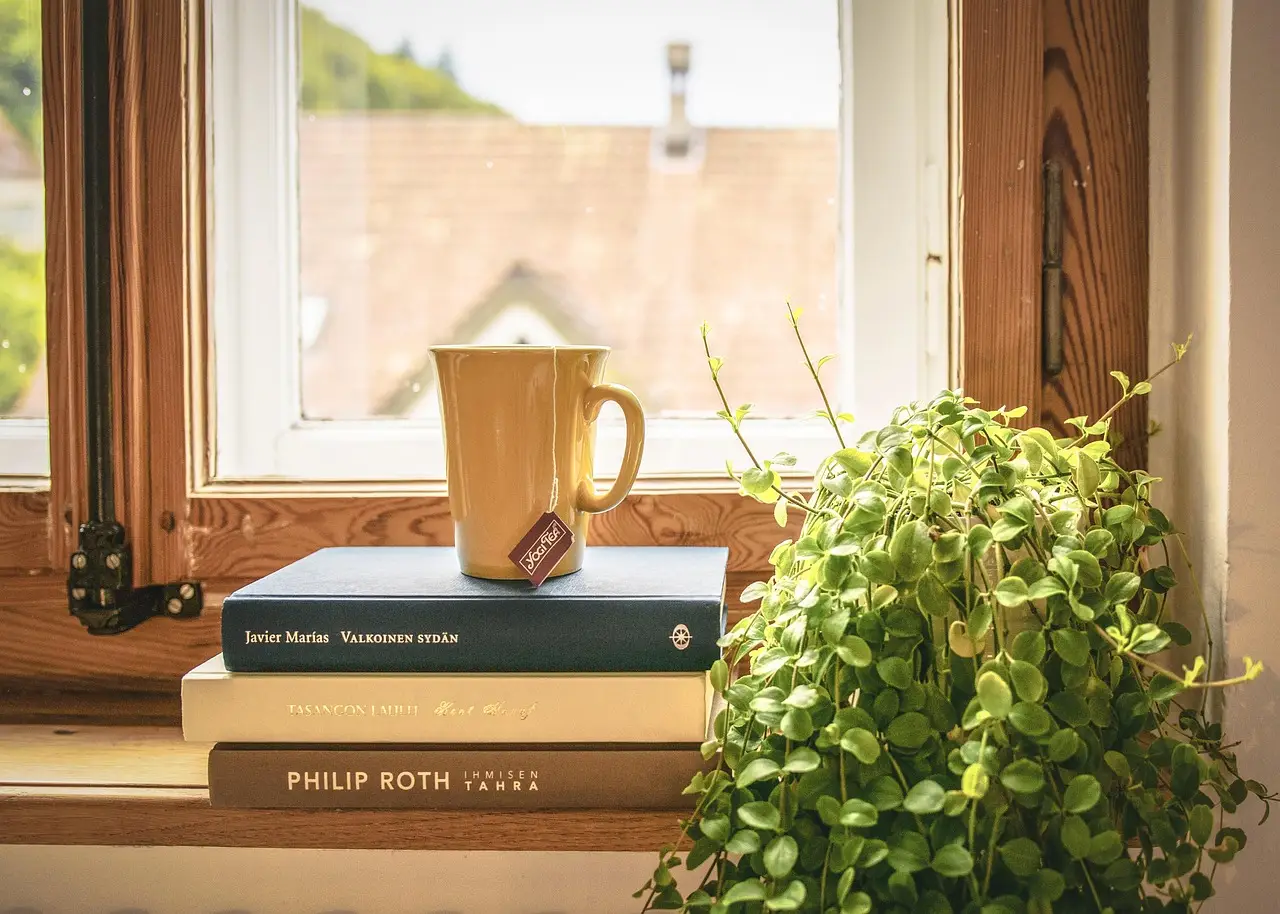Come proteggere i libri dall’umidità nelle librerie di casa: il sistema dei restauratori per giugno Come proteggere i libri dall’umidità nelle librerie di casa: il sistema dei restauratori per giugno