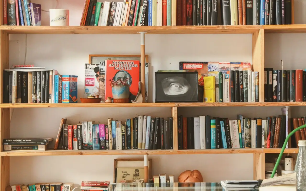 Come proteggere i libri dall’umidità nelle librerie di casa: il sistema dei restauratori per giugno Come proteggere i libri dall’umidità nelle librerie di casa: il sistema dei restauratori per giugno