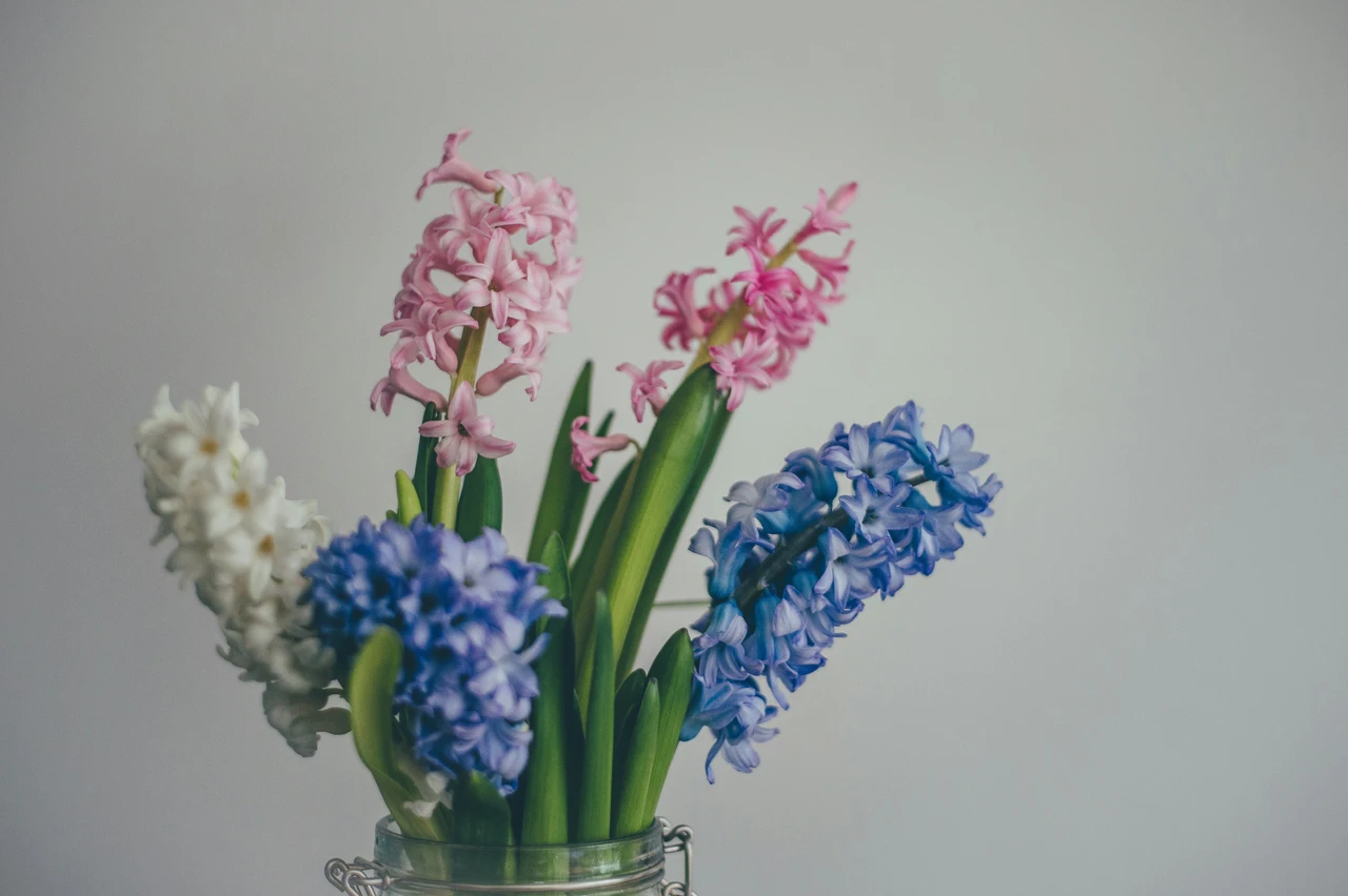 Come mantenere freschi i fiori recisi in estate: il metodo pratico del fiorista per giugno Come mantenere freschi i fiori recisi in estate: il metodo pratico del fiorista per giugno