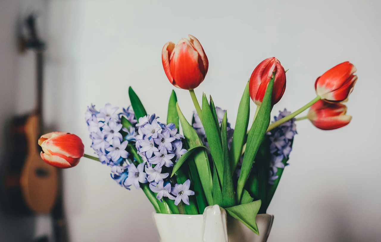 Come mantenere freschi i fiori recisi in estate: il metodo pratico del fiorista per giugno Come mantenere freschi i fiori recisi in estate: il metodo pratico del fiorista per giugno