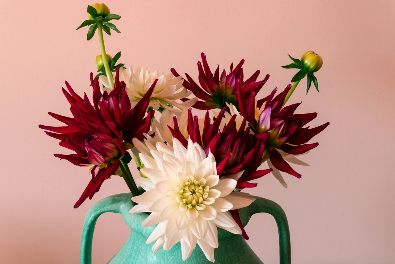 Come mantenere freschi i fiori recisi in estate: il metodo pratico del fiorista per giugno Come mantenere freschi i fiori recisi in estate: il metodo pratico del fiorista per giugno
