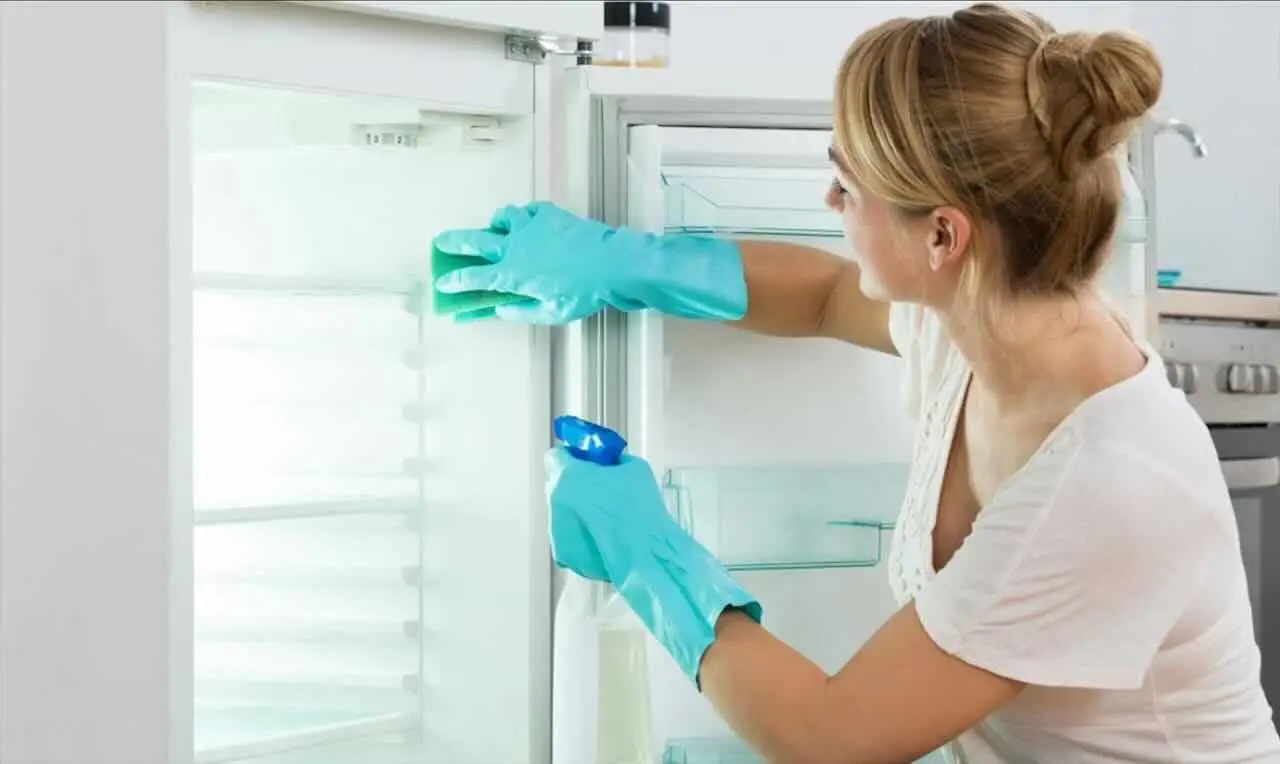 Come eliminare la muffa dalle guarnizioni del frigorifero: la soluzione dell’igienista alimentare Come eliminare la muffa dalle guarnizioni del frigorifero: la soluzione dell’igienista alimentare