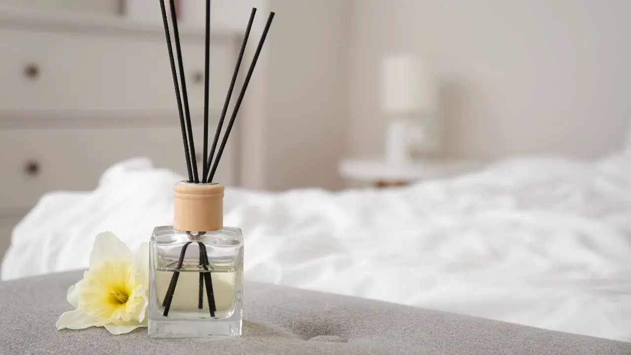 Aria pulita in soggiorno dopo aver cucinato: il metodo naturale degli esperti di aromaterapia Aria pulita in soggiorno dopo aver cucinato: il metodo naturale degli esperti di aromaterapia