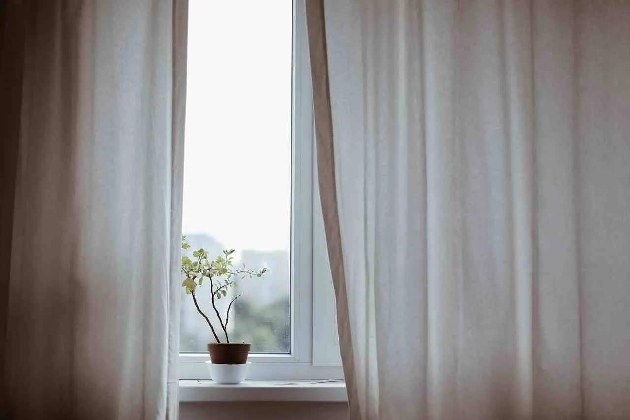 Come creare corrente naturale in casa: il trucco con due finestre Come creare corrente naturale in casa: il trucco con due finestre