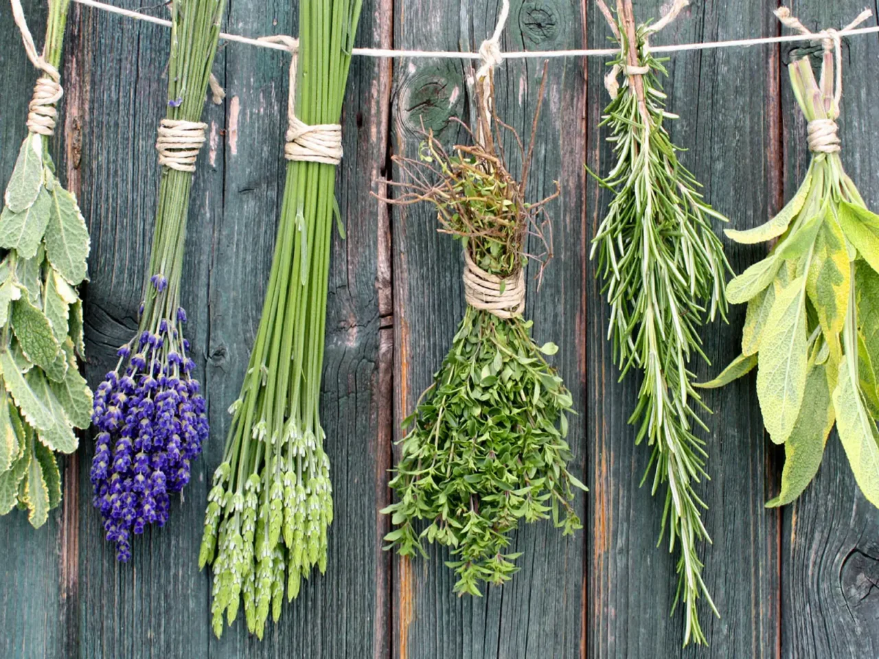 Come usare le erbe aromatiche per rinfrescare e profumare casa Come usare le erbe aromatiche per rinfrescare e profumare casa