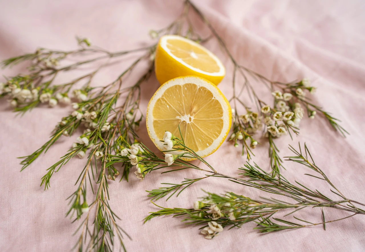 Il rimedio naturale per rendere profumati i pavimenti anche d’estate: basta un ingrediente Il rimedio naturale per rendere profumati i pavimenti anche d’estate: basta un ingrediente