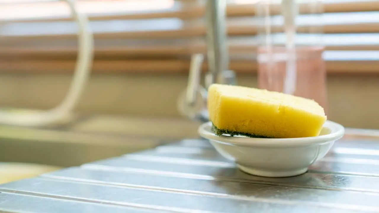 Spugna in cucina sulla mensola d’ingresso: nuove prospettive per profumare subito l’ambiente Spugna in cucina sulla mensola d’ingresso: nuove prospettive per profumare subito l’ambiente