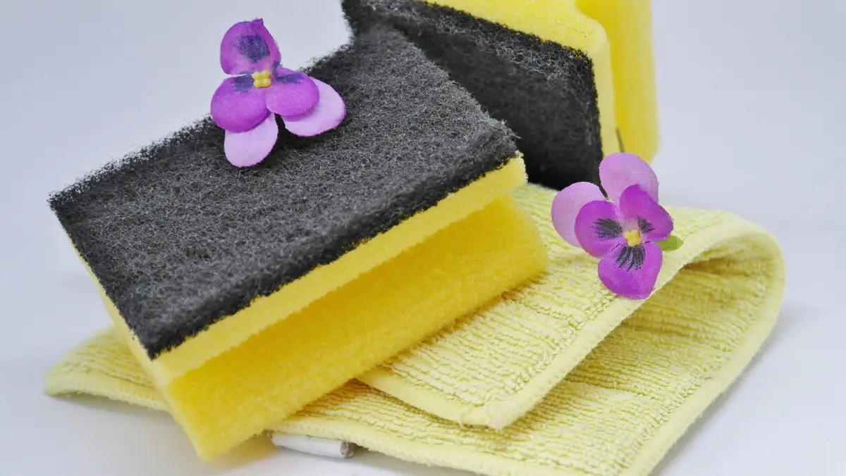 Spugna in cucina sulla mensola d’ingresso: nuove prospettive per profumare subito l’ambiente Spugna in cucina sulla mensola d’ingresso: nuove prospettive per profumare subito l’ambiente