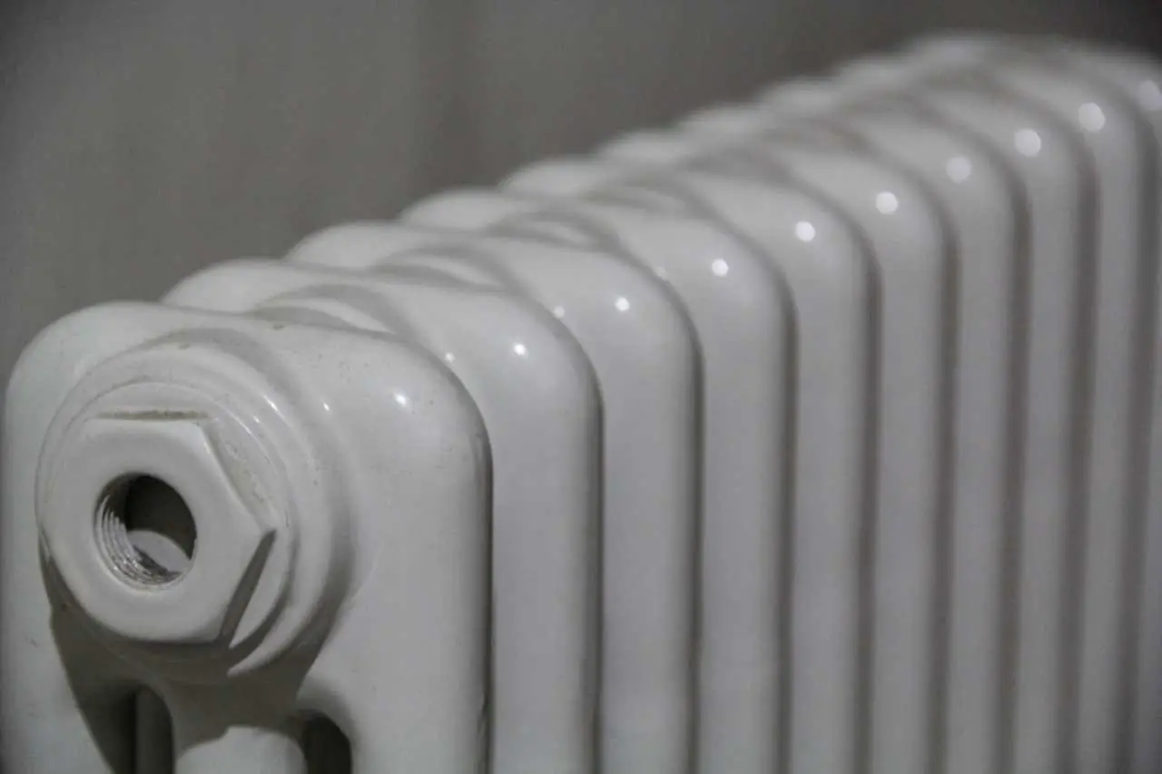 Bucce di limone sul termosifone: la svolta invernale per rendere unico il profumo di casa Bucce di limone sul termosifone: la svolta invernale per rendere unico il profumo di casa
