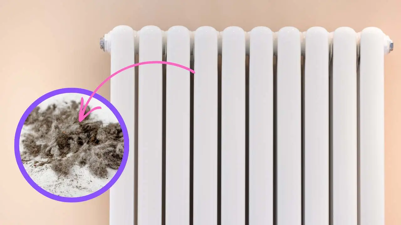 Hai mai provato il bicarbonato vicino ai termosifoni? Un cambiamento nell’aria di casa Hai mai provato il bicarbonato vicino ai termosifoni? Un cambiamento nell’aria di casa
