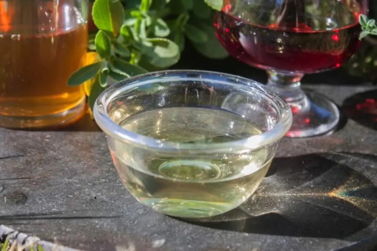 Una ciotola d’aceto sul balcone: scopri cosa cambia nell’aria delle tue stanze Una ciotola d’aceto sul balcone: scopri cosa cambia nell’aria delle tue stanze